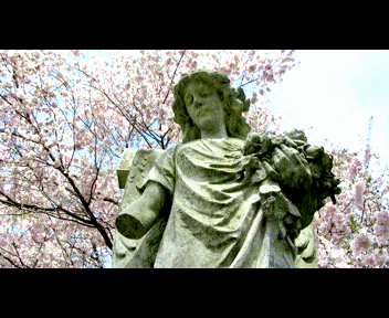 view5_1_zps3cbffad8.gif