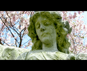 view6_1_zps50e5f0cd.gif