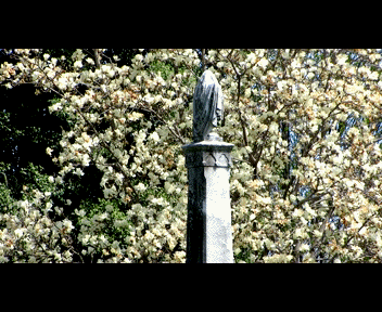 view7_1_zpse2c2bf37.gif