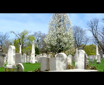 view8_1_zps14145e1c.gif