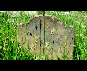 old11_1_zpsc68bd518.gif