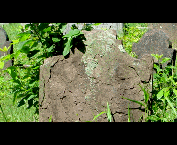 old12_1_zps0ecd2950.gif