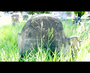 old1_1_zps02f738b3.gif