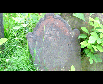 old21_1_zps146a1aee.gif