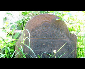old2_1_zpsf6af157d.gif