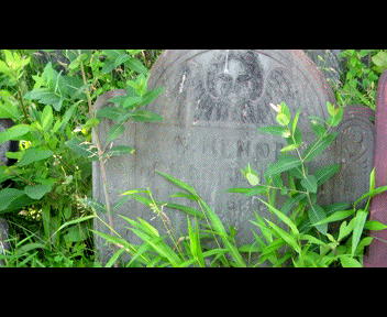 old5_1_zps0a2b8605.gif