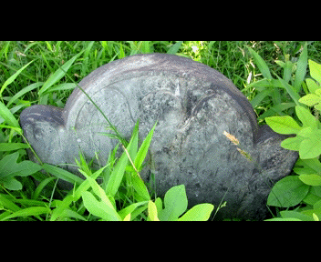 old9_1_zps728c7966.gif