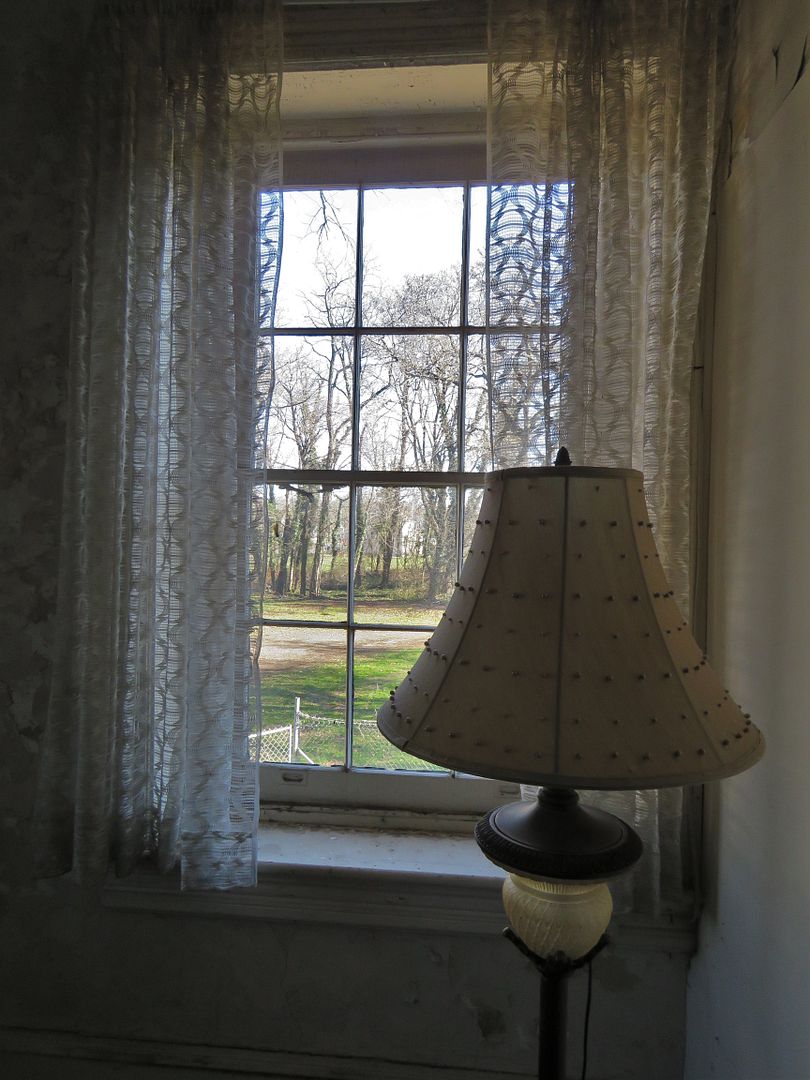 IMG_1089_zpsbrovrbns.jpg