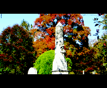 sunday10_1_zpsa319444b.gif