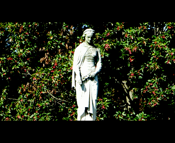 sunday3_1_zps787a3c42.gif