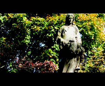 sunday4_1_zps8e965911.gif