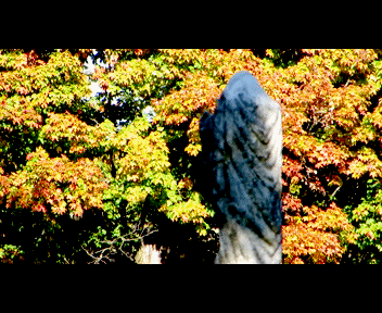 sunday7_1_zps343b6a95.gif