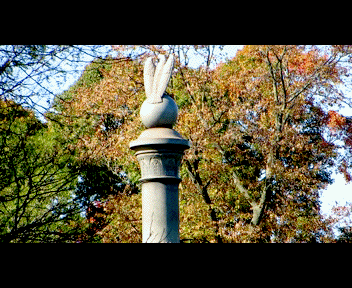 sunday8_1_zps2723a7ae.gif
