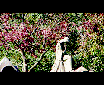 sunday9_1_zps64d65e37.gif