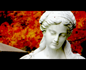 trenton10_1_zpsd5ef7e16.gif