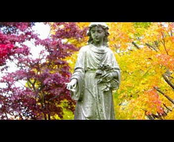 trenton12_1_zps229c9d51.gif