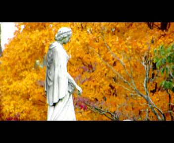 trenton4_1_zps09298f70.gif