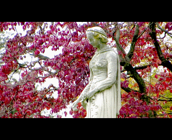 trenton7_1_zpsdb56b8bd.gif