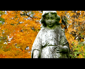 trenton9_1_zps26826553.gif