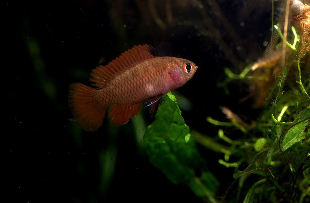 CRW_5953.jpg