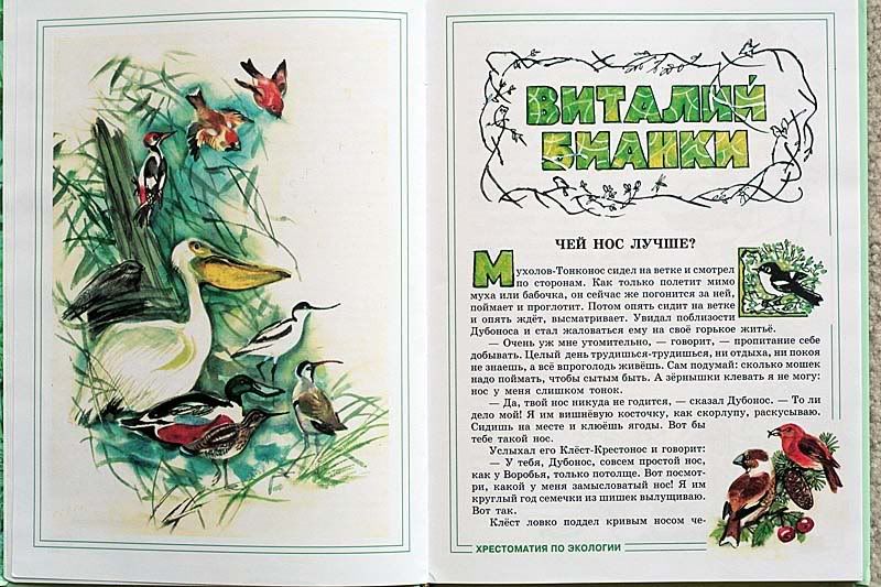 Отзыв о книге: каждая вторая страница черно-белая. аннотация: Зеленые