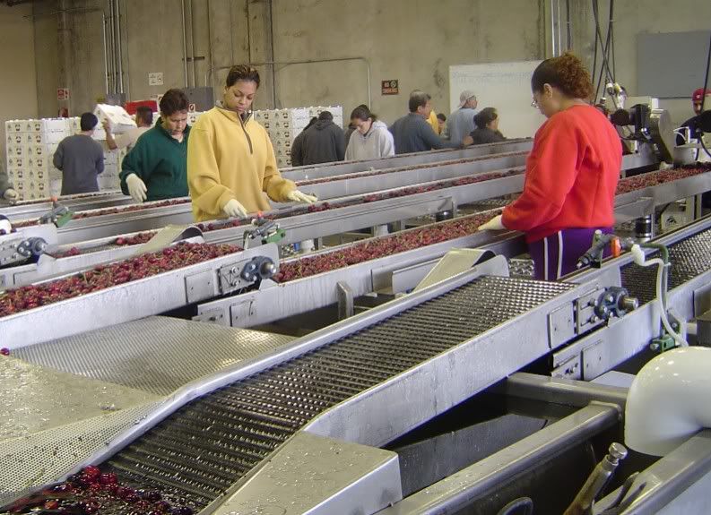 Cherry Sorting