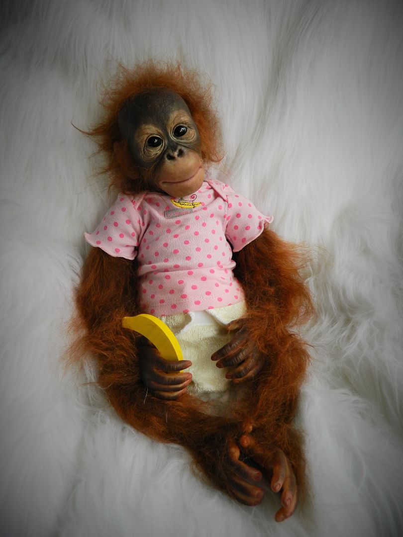 orangutan reborn