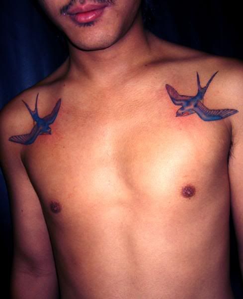 Swallow Bird Tattoo Design Mens Having a swallow tattoo is a creative way of