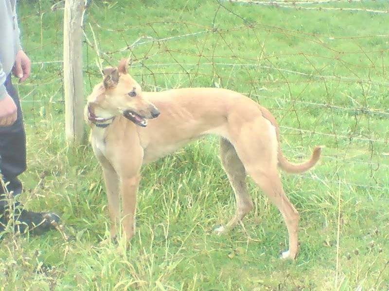 DSC00001.jpg
