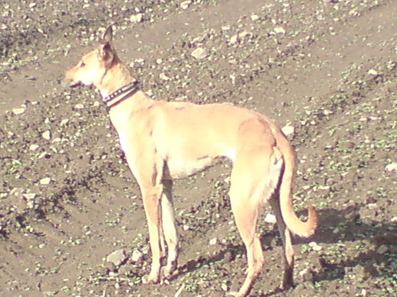 DSC00032.jpg
