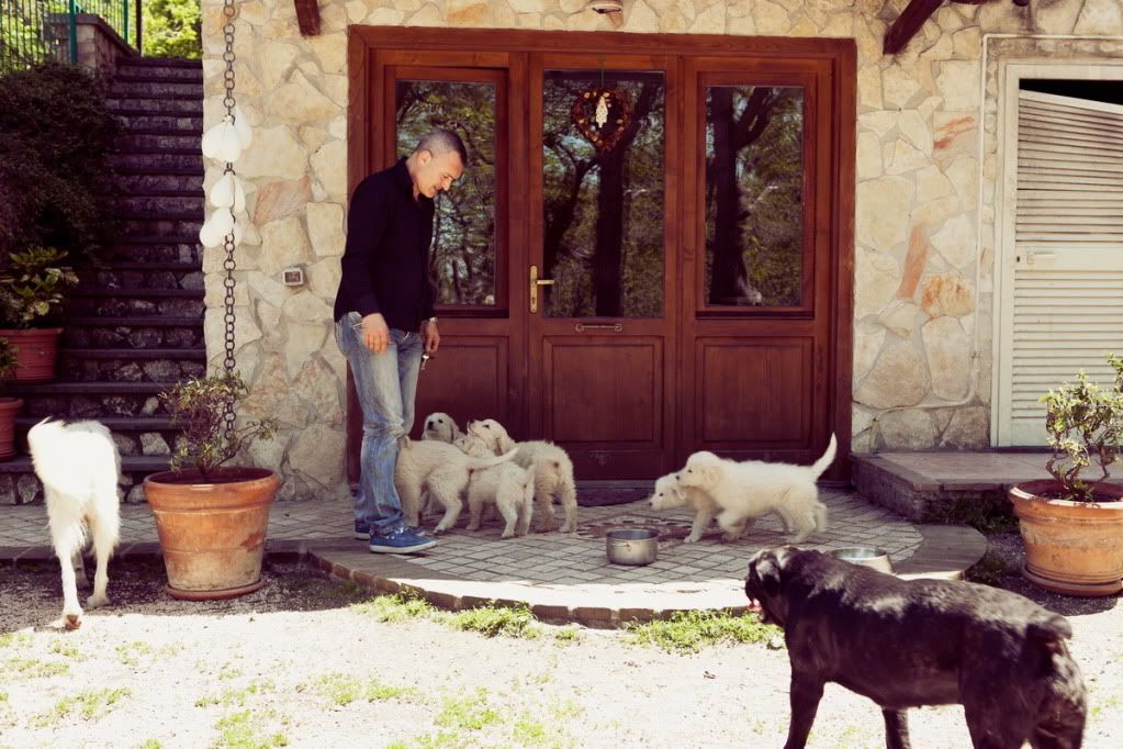 Кому щенка? 