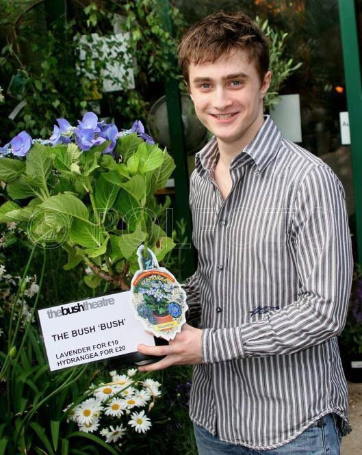 Daniel+radcliffe+hot+body