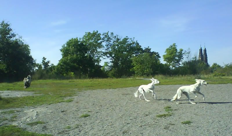 DSC01556.jpg