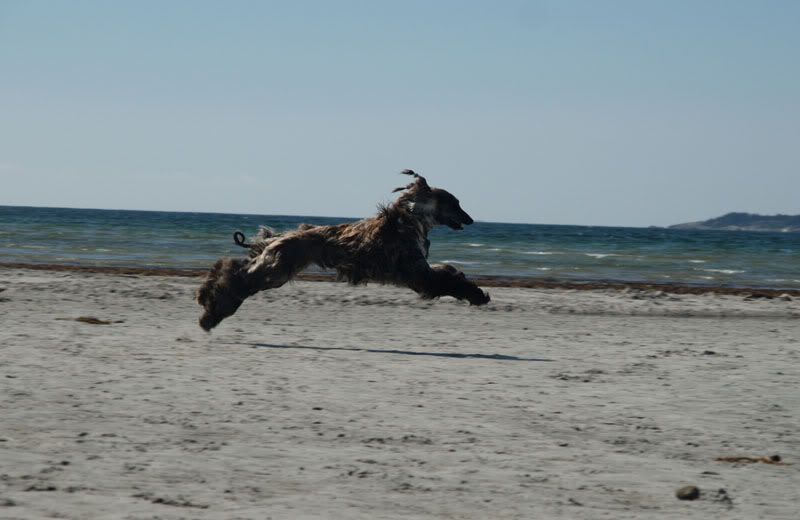 DSC_0296.jpg