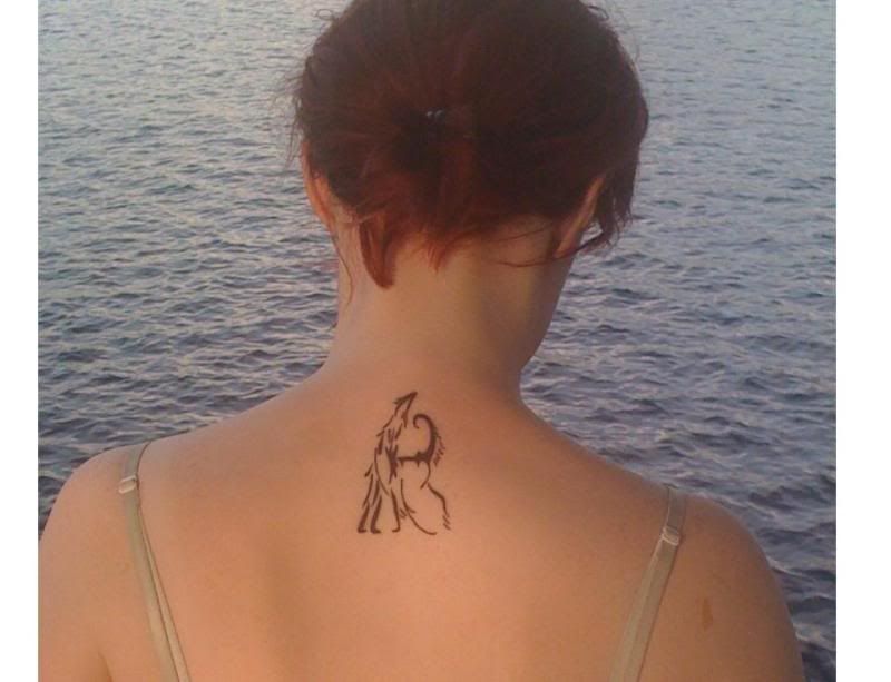 tatu.jpg