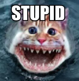 stupid Pictures, Images and Photos