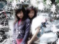 Được đăng ảnh