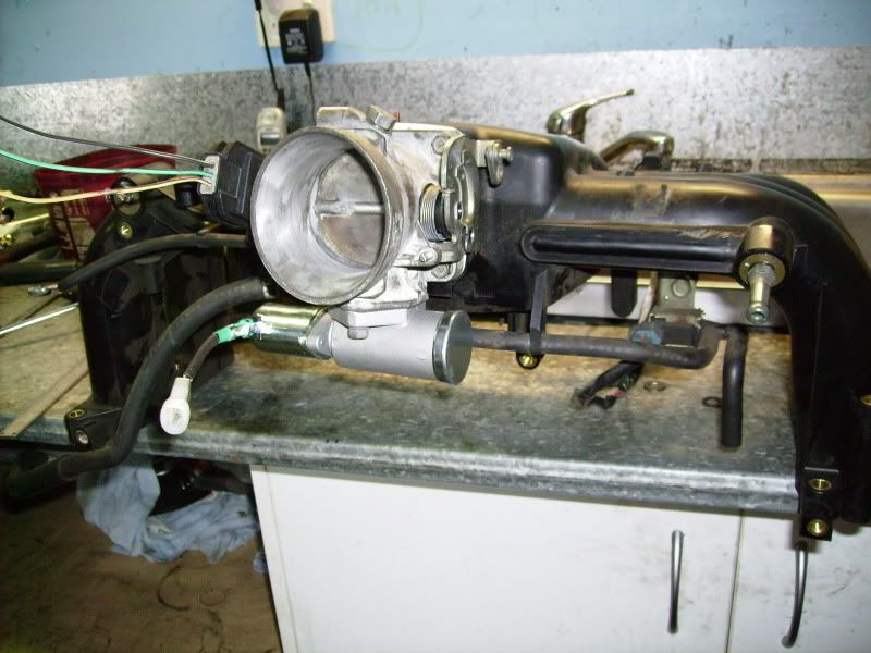 Posted Image