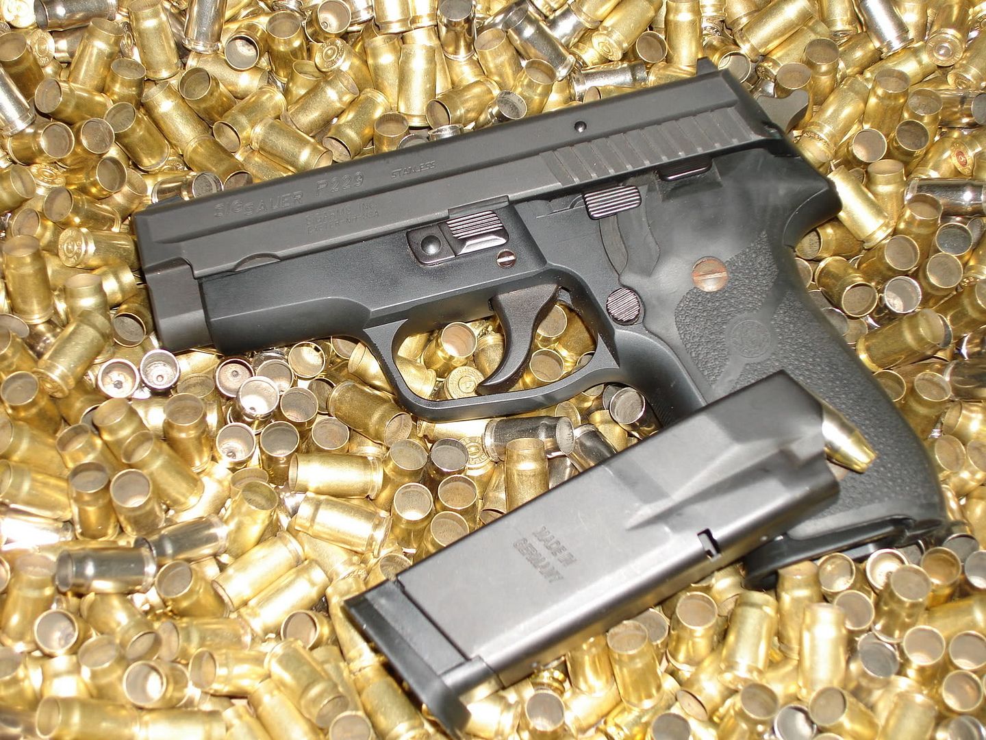 Sig P229, With or W/O Rail??