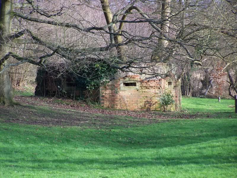 IMAGE: http://i65.photobucket.com/albums/h221/boringpicsrus/000_0052.jpg