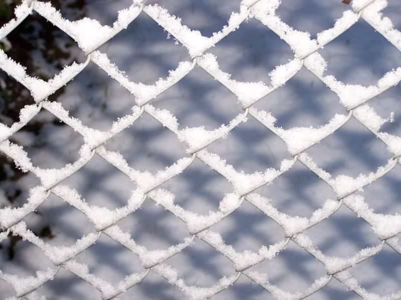 IMAGE: http://i65.photobucket.com/albums/h221/boringpicsrus/000_0176.jpg