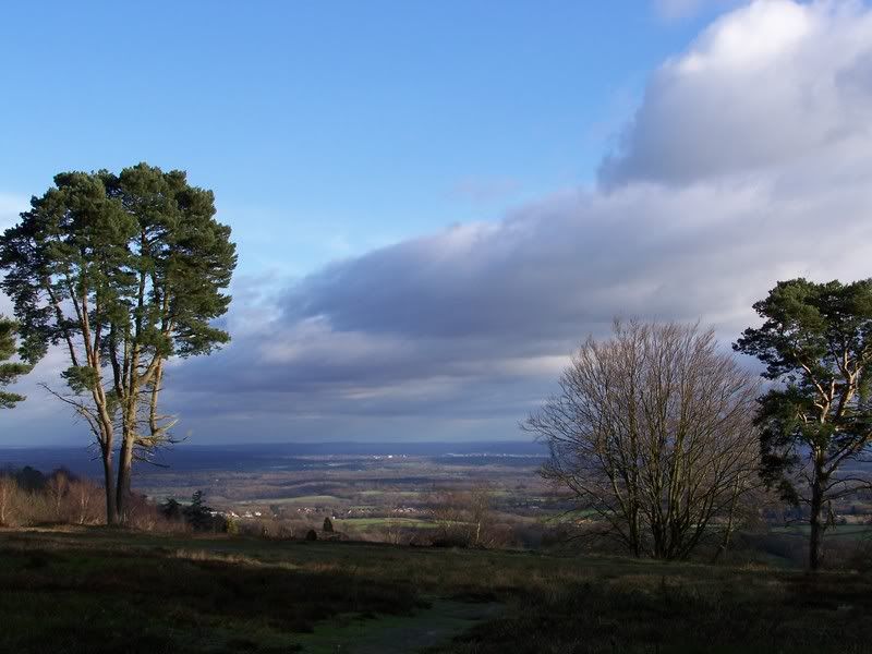 IMAGE: http://i65.photobucket.com/albums/h221/boringpicsrus/100_0011.jpg