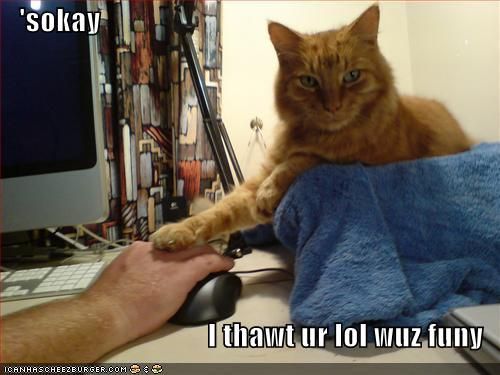 funny-pictures-orange-cat-consoles-human-lol.jpg