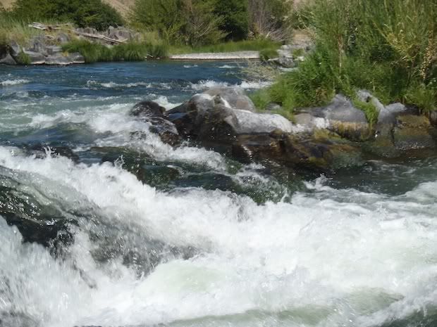 upper clackamas, carter bridge rapid