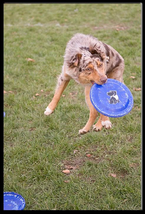 IMAGE: http://i65.photobucket.com/albums/h223/jra2212/luke02.jpg