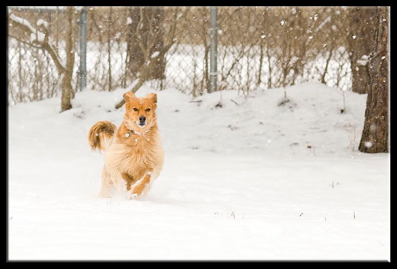 IMAGE: http://i65.photobucket.com/albums/h223/jra2212/scooter03.jpg