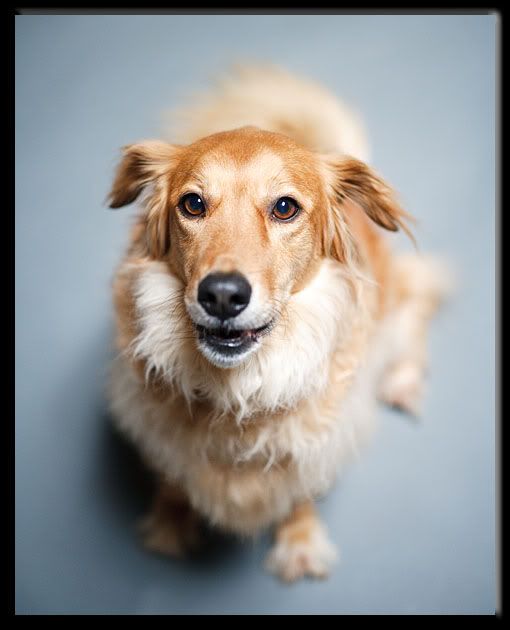 IMAGE: http://i65.photobucket.com/albums/h223/jra2212/scooter1.jpg