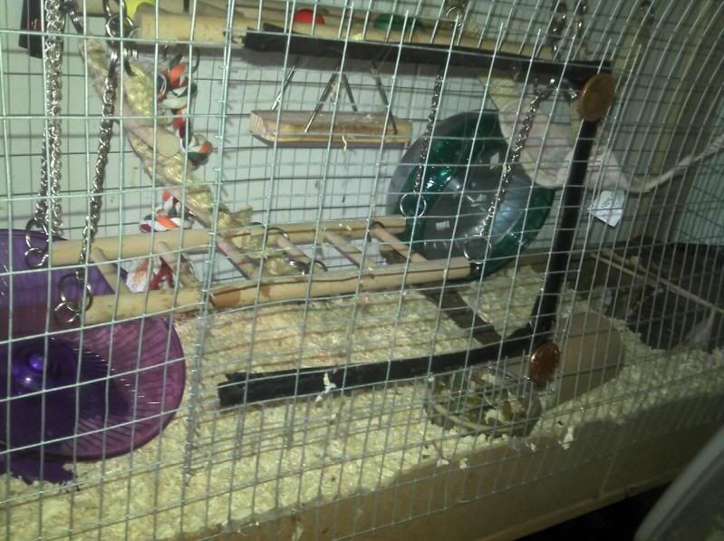 How to convert a BookShelf? Hamster Central