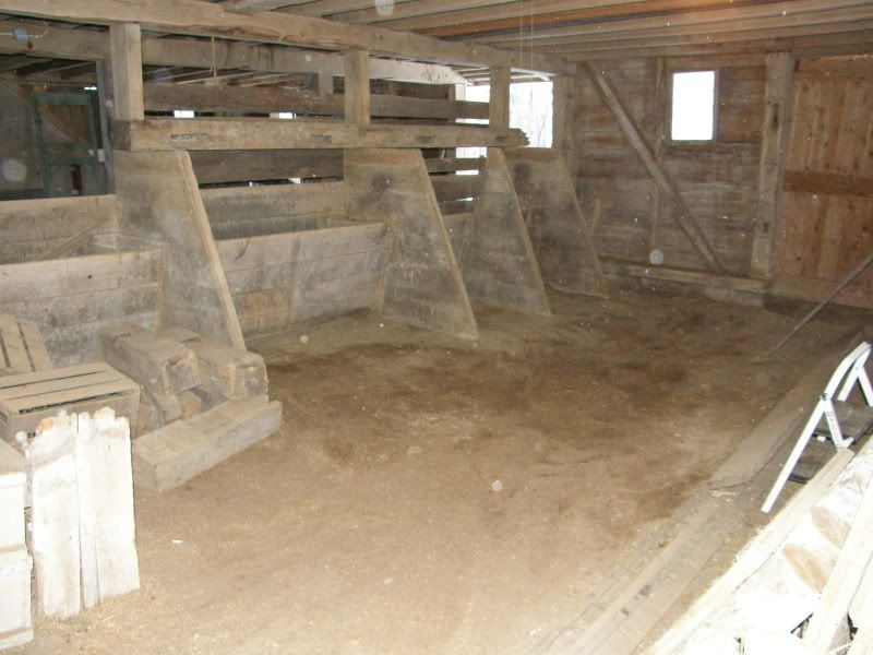 Finally...goat and barn pictures - Goats