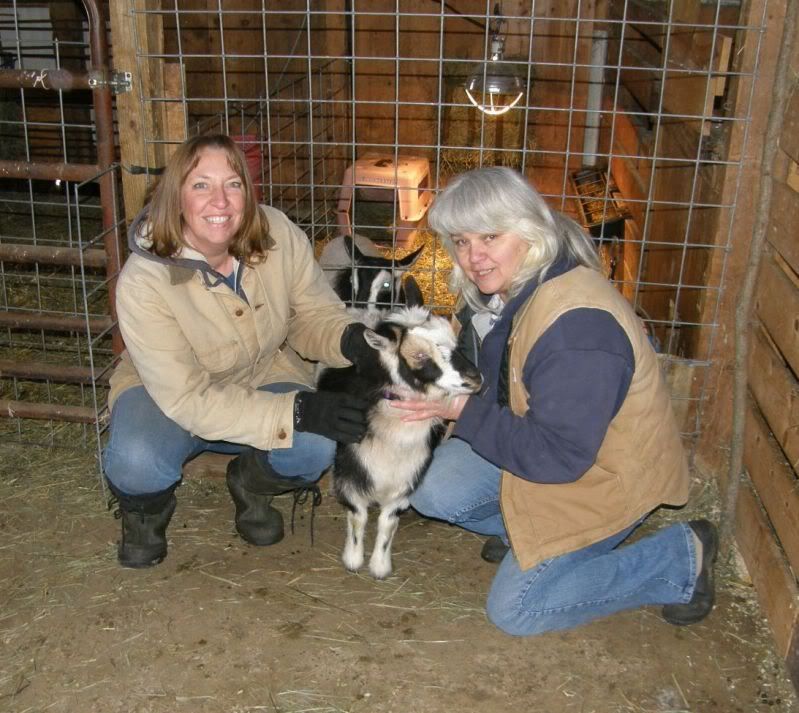 Leaving in 10 minutes... - Goats